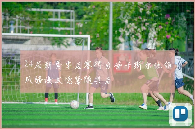 24届新秀季后赛得分榜卡斯尔独领风骚谢泼德紧随其后